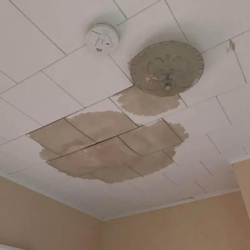 Ceiling Water Damage Repair in Newport, VT