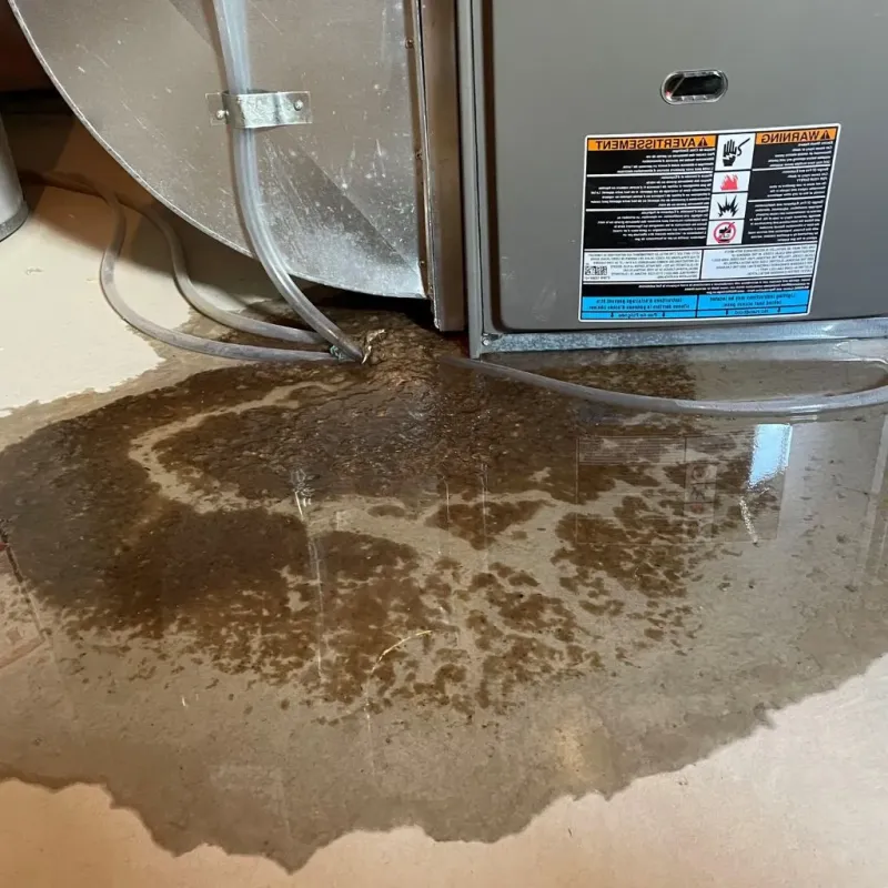 Pipe Burst and Leak Restoration in Newport, VT