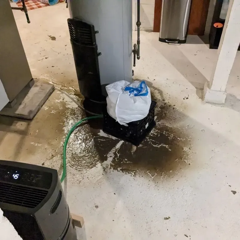 Sewage Backup Cleanup Service in Newport, VT